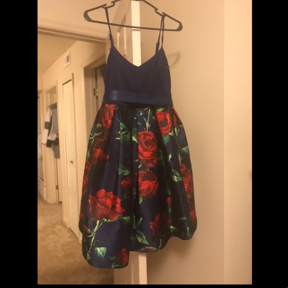 Red rose dress